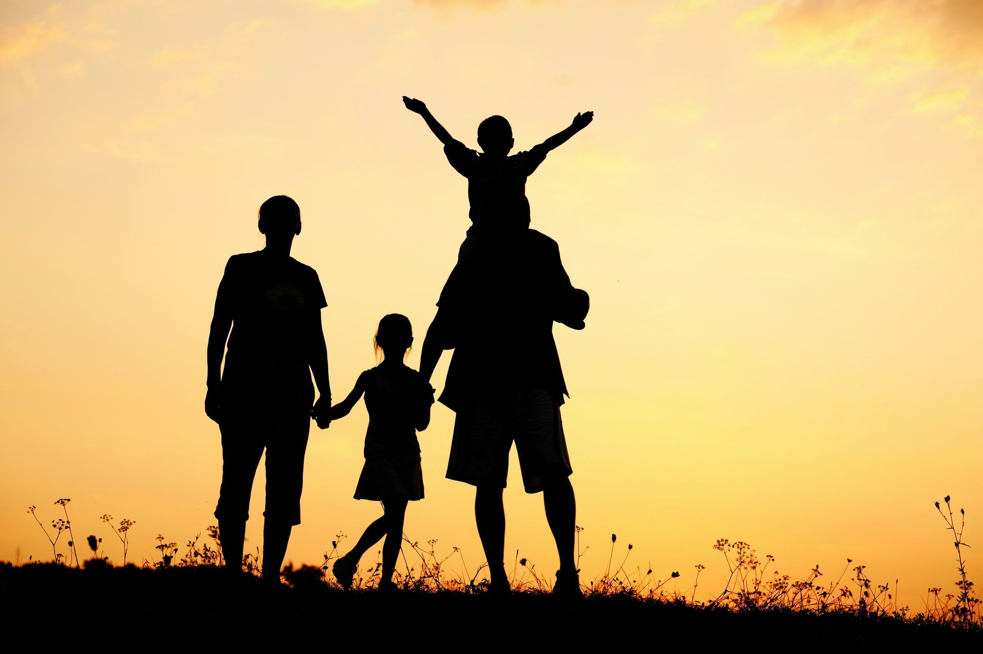 Você está visualizando atualmente As Mais Queridas Sugestões De Agricultura Para Uma Família De Cinco